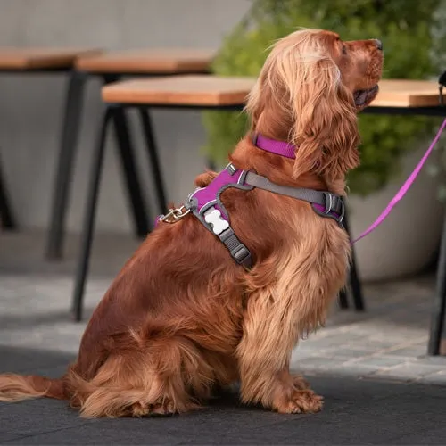 Purple Padded Harness