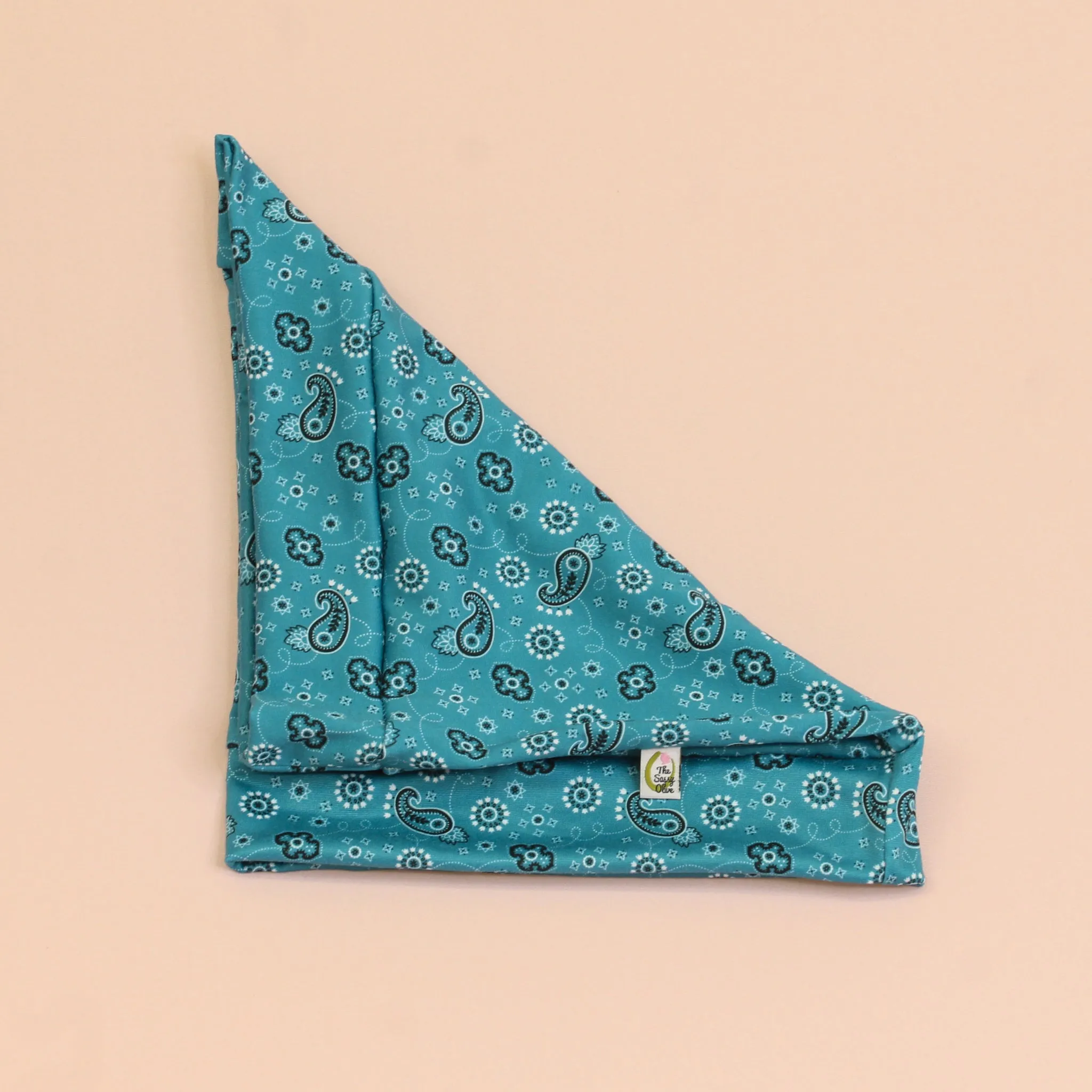 Rancher Bandana Paisley Boho Buff